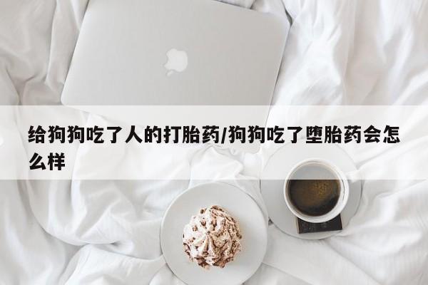 admin 第245页