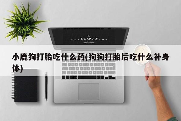 买流产药的微信联系方式小鹿狗打胎吃什么药(狗狗打胎后吃什么补身体)