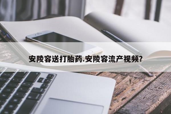 买流产药的微信联系方式安陵容送打胎药.安陵容流产视频？